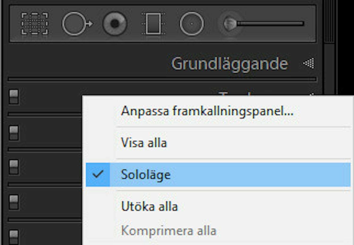 Sololäge-funktionen i Lightroom